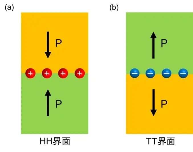 強誘電体界面の電荷分布直接観察に成功