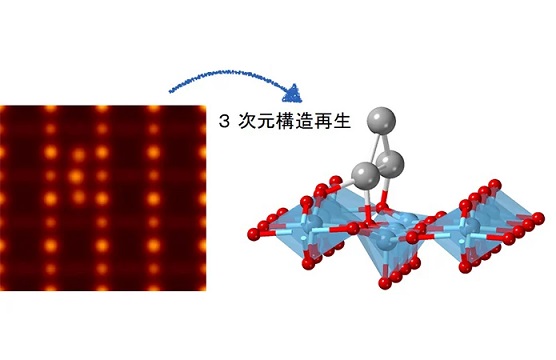 電子顕微鏡202402-1