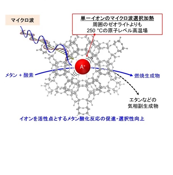 Direct microwave energy input on a single cation for outstanding selective catalysis