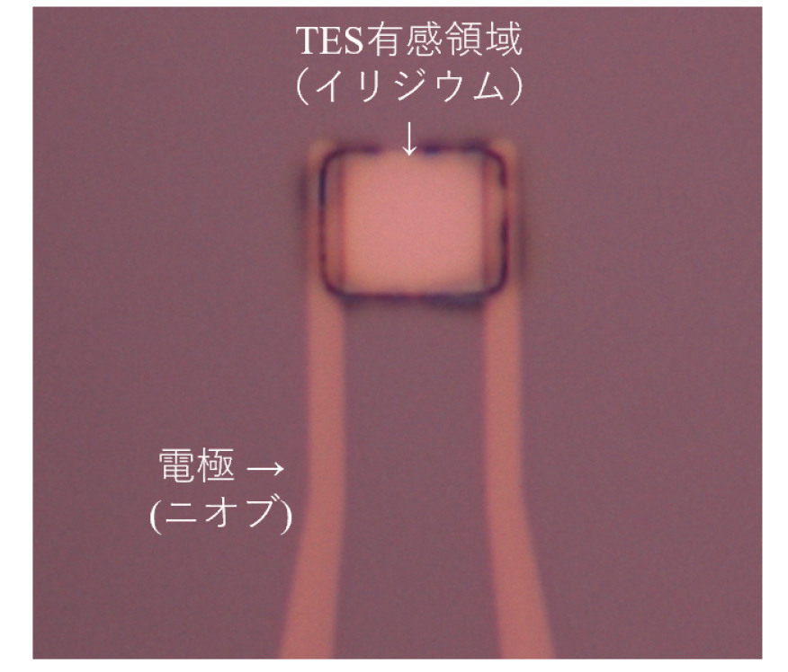 img-slider-takahashi-lab-03-1